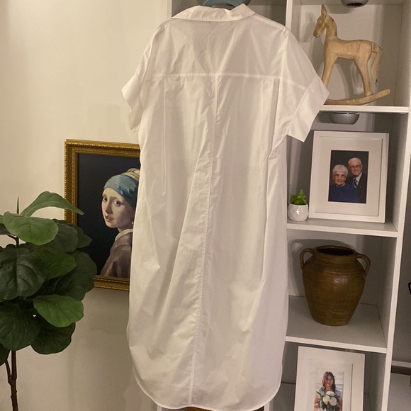 NWT Zara Oversized Shirt - Super Long! - Picture 2 of 9